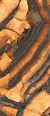 Керамогранит Fondovalle INF3423-3 Tiger All-Light Polished Ret 120x278
