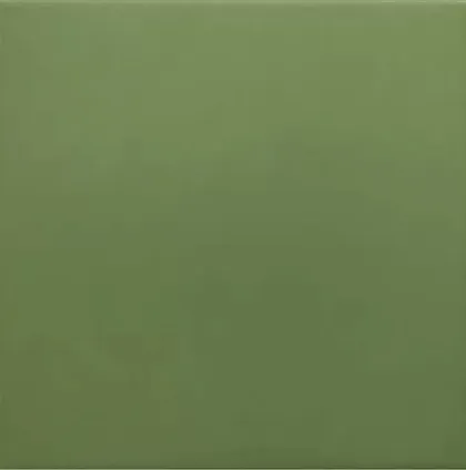 Фото Керамогранит Equipe 30716 Rivoli Green 20x20 Испания