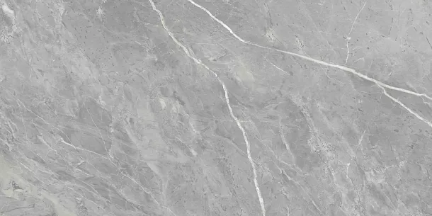 Фото Керамогранит Ennface ENSTN8003LM60120 Marcasite Glossy 60x120 Индия