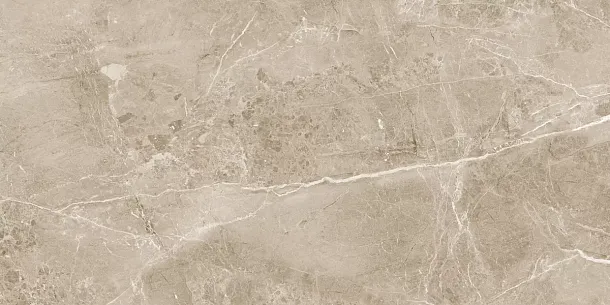 Фото Керамогранит Obsidian Taupe Полированный 60x120 Индия