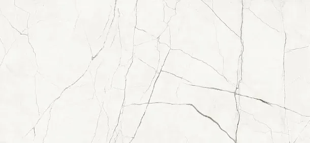 Фото Керамогранит Imola Ceramica STA VP6 278 LP 120x278 Италия