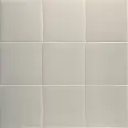 Керамогранит Mainzu Technical Koala 20x20