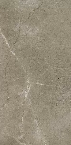 Фото Керамогранит Dado Ceramica 304012 Mask Tobacco 60x120 Италия