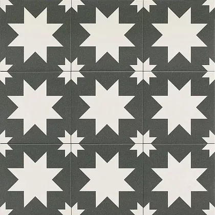 Фото Керамогранит Fired Star Black Mate 20x20 Испания