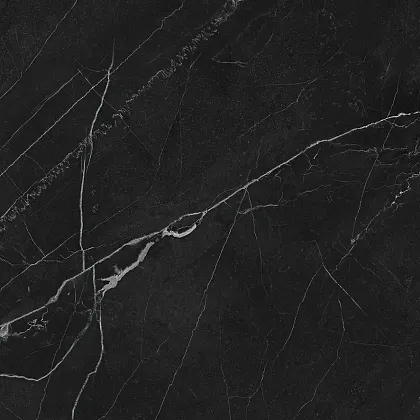 Фото Керамогранит Laparet LP6060G0211R Opera Nero чёрный матовый 59,5х59,5 Россия