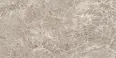 Керамогранит Tubadzin Root grey Mat 119.8x59.8