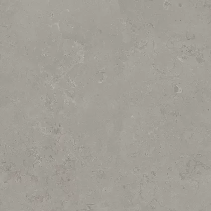 Фото Керамогранит DD640920R Про Лаймстоун серый натуральный обрезной 60х60 Россия