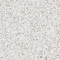 Фото Керамогранит Cosmos White CM00 80x80