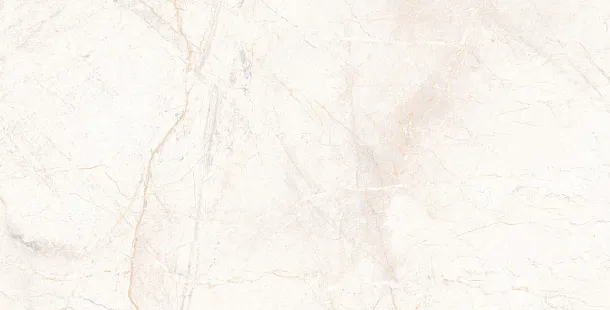 Фото Керамогранит Usak Seramik Manavgat Bone Polished 60x120 Турция