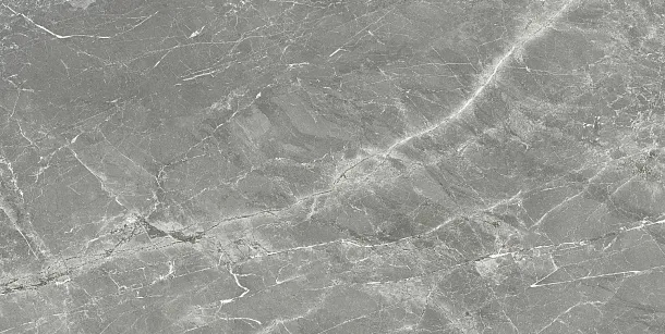 Фото Керамогранит Prissmacer Fior Di Bosca Marengo Matt 60x120 Испания