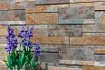 Керамогранит Slate Gloss 49.1x98.2