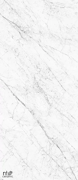 Фото Керамогранит Carrara Elite 120x280 (NTT3602С) Индия
