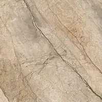 Фото Керамогранит Imola Ceramica SAN PE6 60 RM The Room 60x60