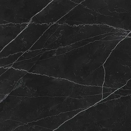Фото Керамогранит Laparet LP6060G0211R Opera Nero чёрный матовый 59,5х59,5 Россия