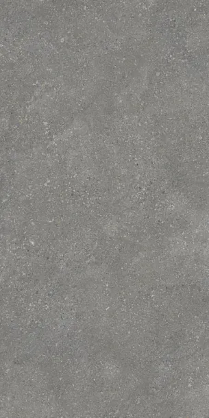 Фото Керамогранит Protiles PT12F7047 Pietra Grey Matt 1200х600х9 Узбекистан