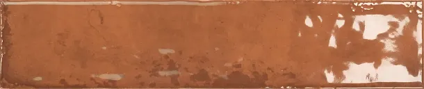 Фото керамическая плитка Monopole 002700 San Remo Amber 5x25 Испания