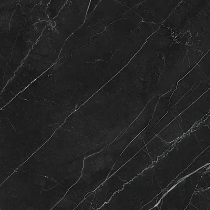 Фото Керамогранит Laparet LP6060G0211R Opera Nero чёрный матовый 59,5х59,5 Россия