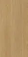 Керамогранит Protiles PT12F7041 Albero Beige Matt 1200х600х9