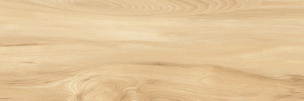 Фото Плитка Woodstyle Elm 300x900x10,5 (WT93WOS11) Беларусь