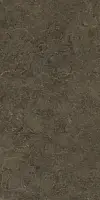 Фото Керамогранит Protiles Neapol PT12F7039 Brown Matt 1200х600х9