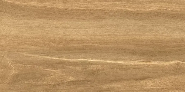 Фото Плитка WT9POT21 Portland Dark 249*500*7.5 Россия