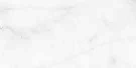 Керамогранит Antisky Grey light Polished 60x120 (С0005123) Индия Фото Керамогранит Antisky Grey light Polished 60x120 (С0005123)