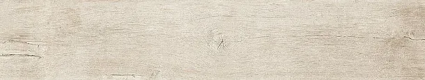 Фото Керамогранит Dune 189003 Quercus Betulla 22x120 Испания