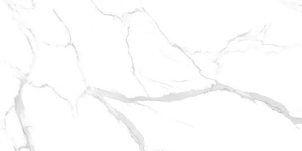 Фото Керамогранит Statuario Ultra White 60x120 (NTT99512M) Индия