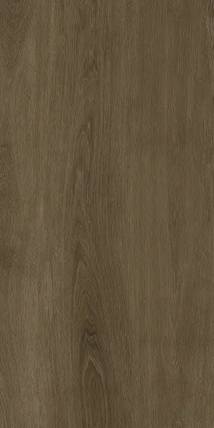 Фото Керамогранит Protiles PT12F7040 Albero Grey Matt 1200х600х9 Узбекистан