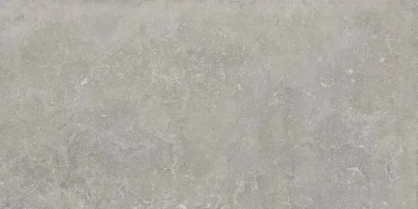 Фото Керамогранит Ariana Ceramica 0012320 Memento Bruges Grey Antique 3D Rett 60x120 Италия