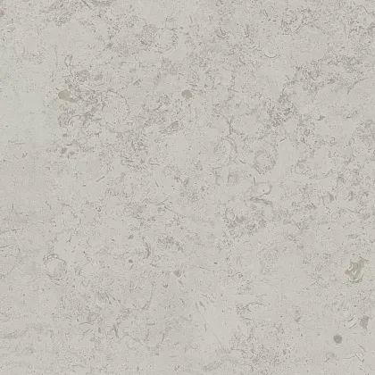 Фото Керамогранит DD641020R Про Лаймстоун серый светлый натуральный обрезной 60х60 Россия