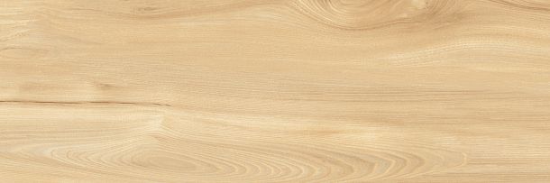 Фото Плитка Woodstyle Elm 300x900x10,5 (WT93WOS11) Беларусь