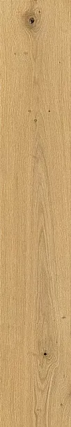 Фото Керамогранит Sichenia 196042 Parkett Thun Satin Rett 20x120 Италия