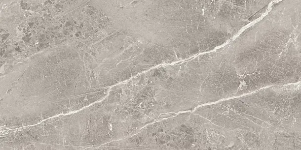 Фото Керамогранит Obsidian Grey Полированный 60x120 Индия