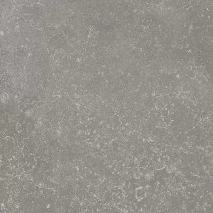 Фото Керамогранит Kerama Marazzi Касабланка серый матовый 20x20x0,8 (KM2020G0021N) Россия