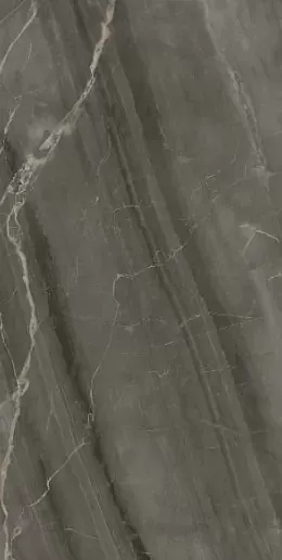 Фото Керамогранит WIFi Ceramics PY126903 Brown Marble Glos 60x120 Китай