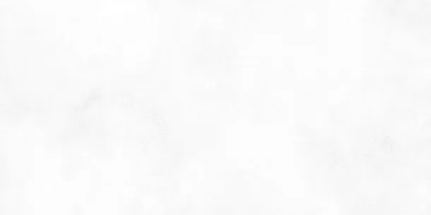 Фото Плитка WT9KON00 Konor White 249*500*7.5 Россия