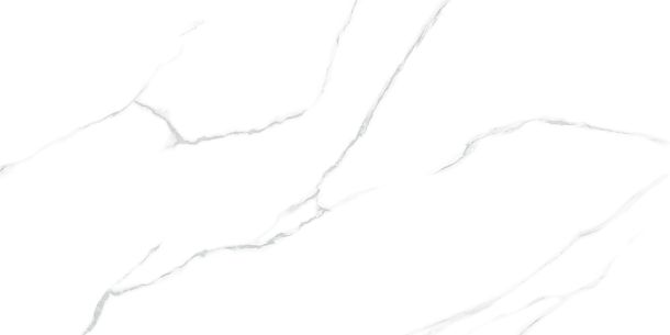 Фото Керамогранит Atlantic Marble полированный 600x1200 (60120AMR00P) Индия