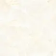 Керамогранит Eternal ETONX1223GL6060 Onix Sandy Glossy 60x60