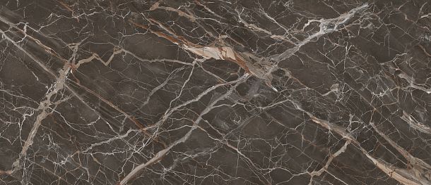 Фото керамогранит Stone Marble Brown SFV.IF.OC.LC Италия