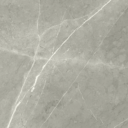 Фото Керамогранит Bright And Shiny 60x60 (BB6NTT9102P) Китай