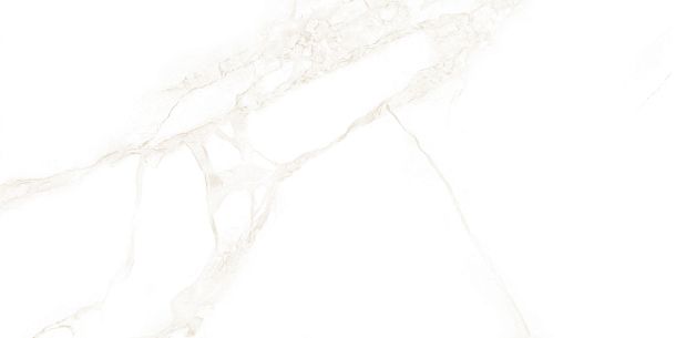 Фото Плитка Artdeco White 250x500x9 (WT9ARE00) Россия