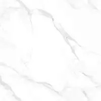 Фото Керамогранит Statuario Endless Mat 60x60 (NTT995060M)