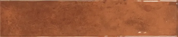 Фото керамическая плитка Monopole 002700 San Remo Amber 5x25 Испания