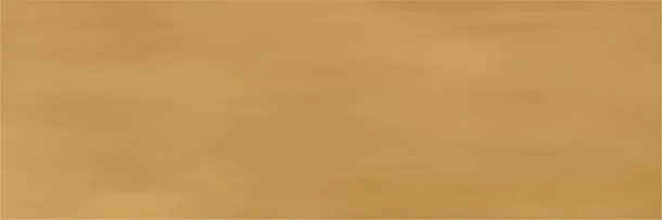 Фото Керамогранит Ennface ENCLR6061GL722 Camelot Amber Glossy 75х225х8 Индия