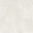 Керамогранит Dado Ceramica 304332 Serica Bone Rett 120x120