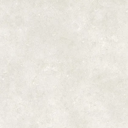 Фото Керамогранит Dado Ceramica 304332 Serica Bone Rett 120x120 Италия