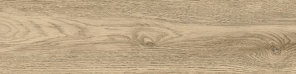 Фото Керамогранит Tanzania Beige матовый 151x602 (GP1560TAN11) Россия