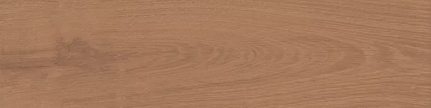 Фото Керамогранит Kerama Marazzi Аргания коричневый матовый 9,9x40,2x0,8 (KM1040G0031N) Россия