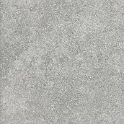 Фото Керамогранит Alpas Fossil Gris 20mm 60x60 Индия